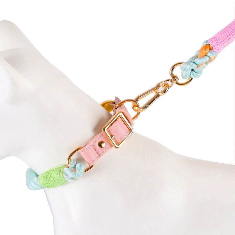 Braided PU & Cotton Dog Set