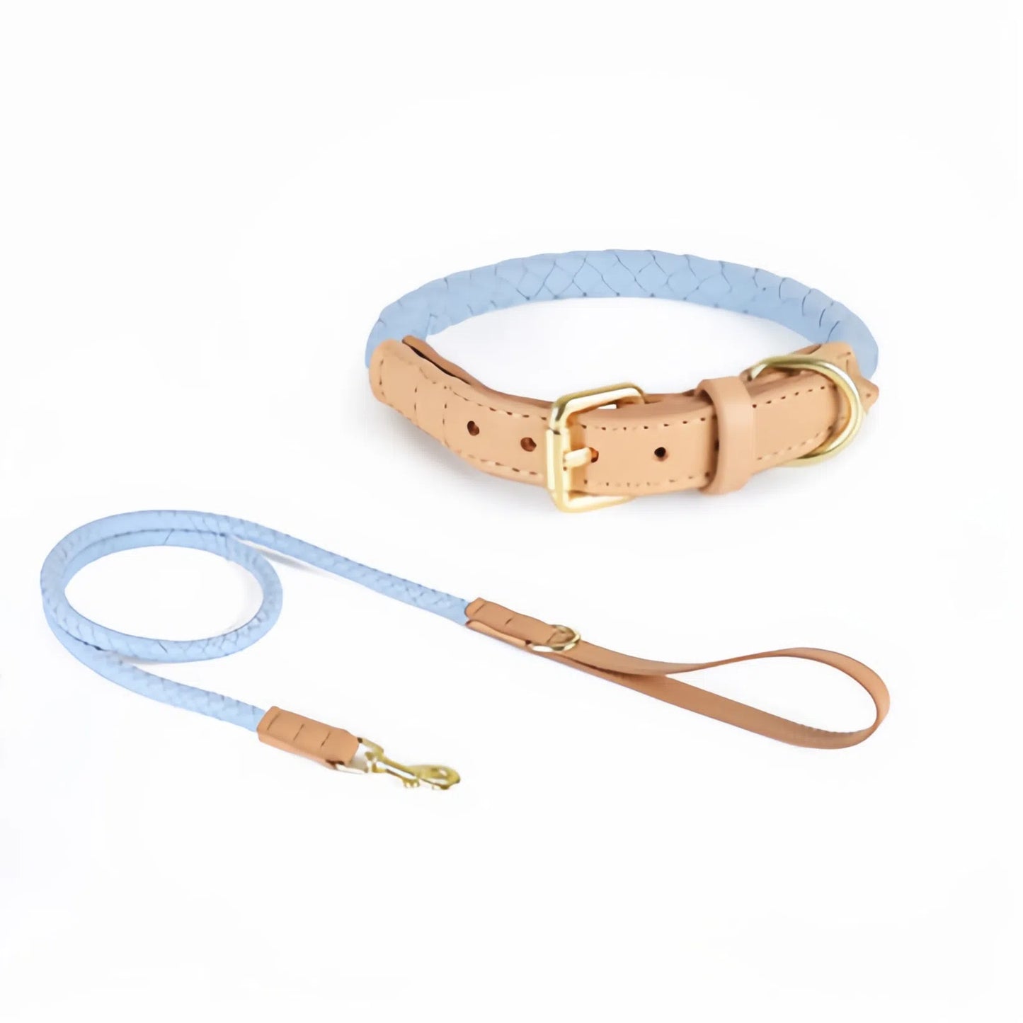 Braided Leather Dog Set
