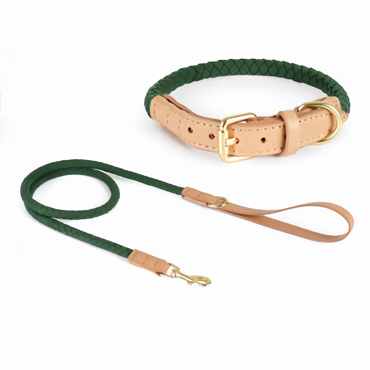 Braided Leather Dog Set