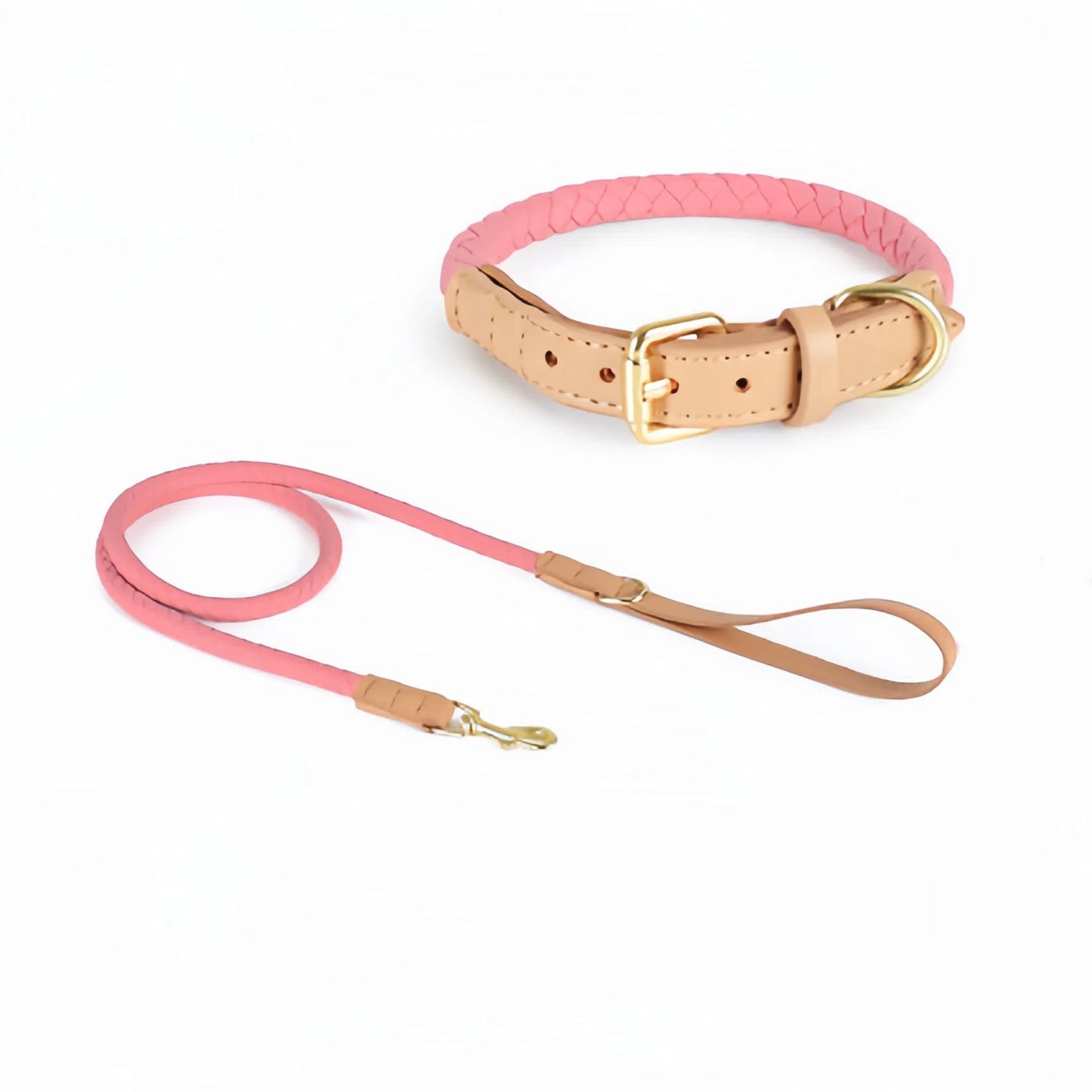 Braided Leather Dog Set