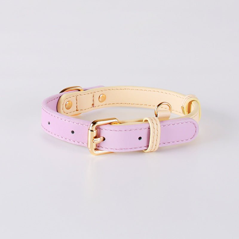 Leather Dog Set Adjustable No Pull