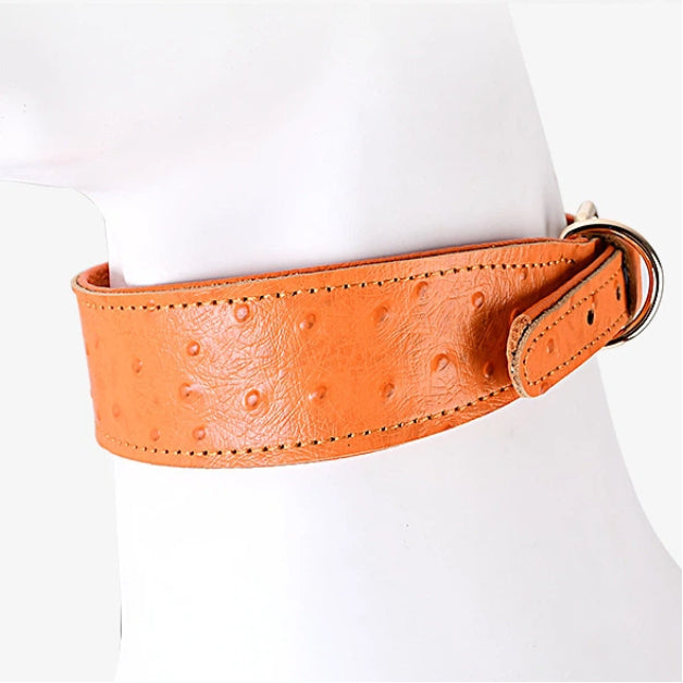 Wide Neck Leather Dog Collar