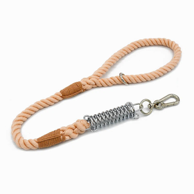 Shock Absorbing Dog Leash