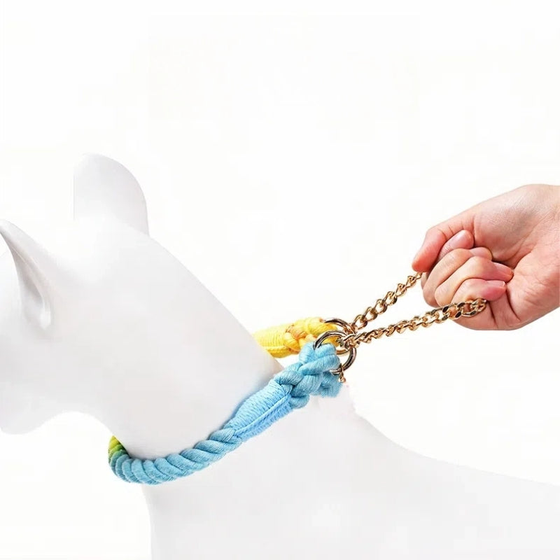 Martingale No Pull Dog Collar