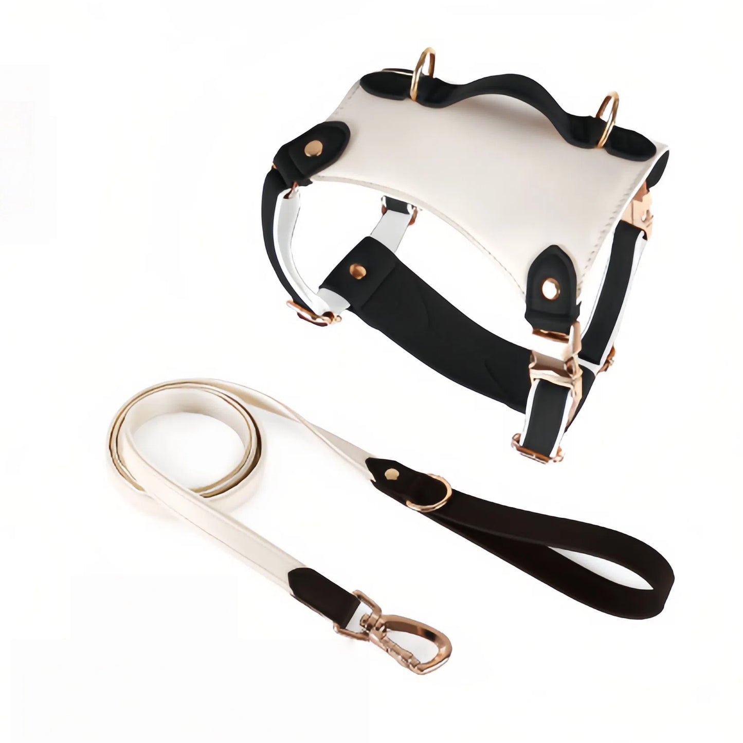 H-Back No Pull Dog set