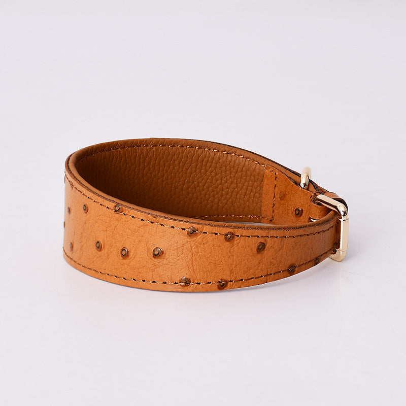 Wide Neck Leather Dog Collar