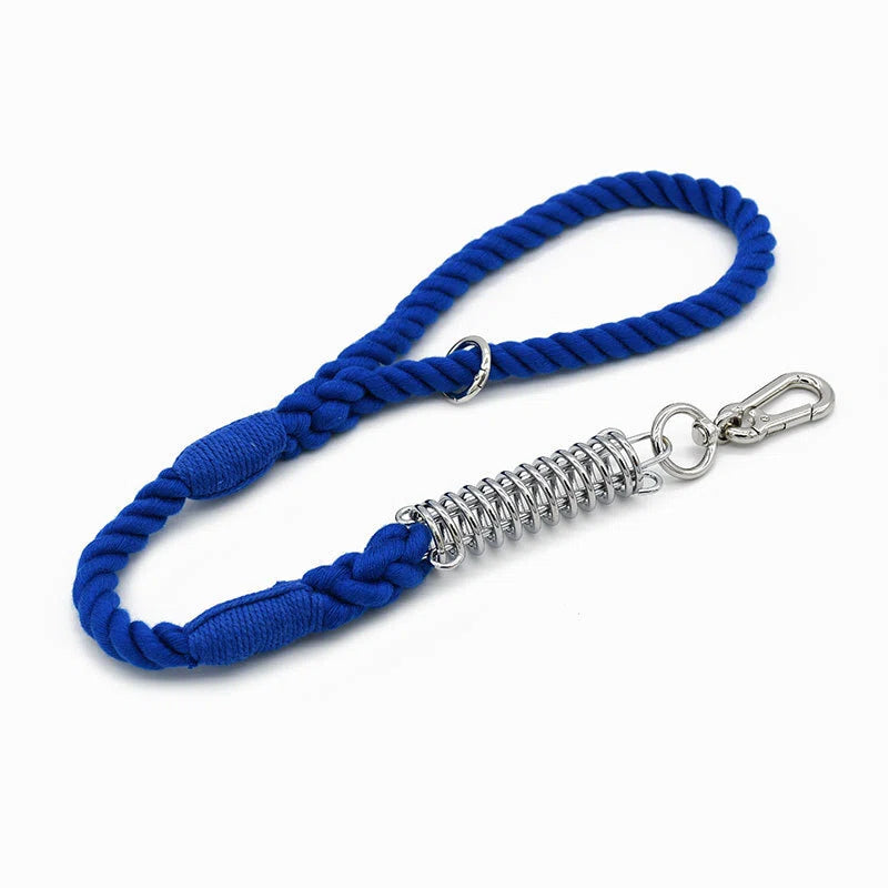 Shock Absorbing Dog Leash