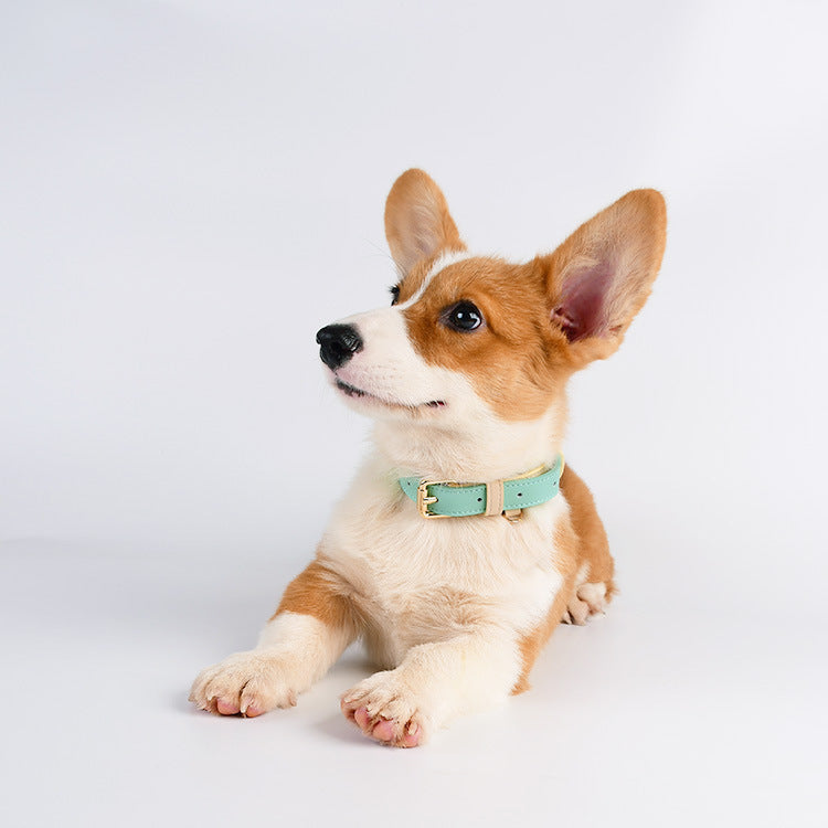 Leather Dog Set Adjustable No Pull