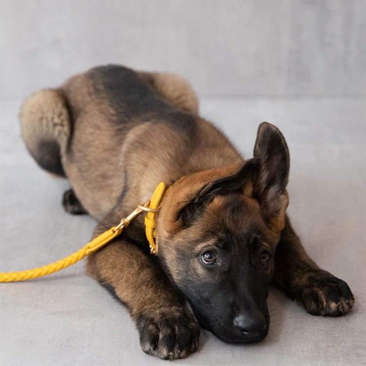 Woven Leather Dog Leash