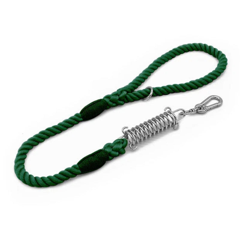 Shock Absorbing Dog Leash