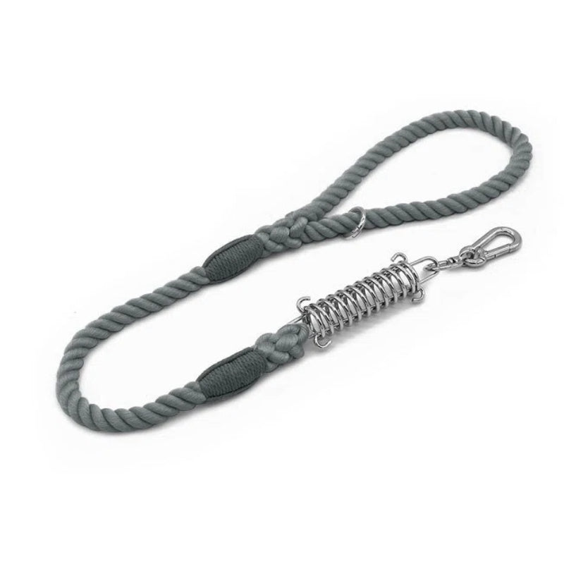 Shock Absorbing Dog Leash