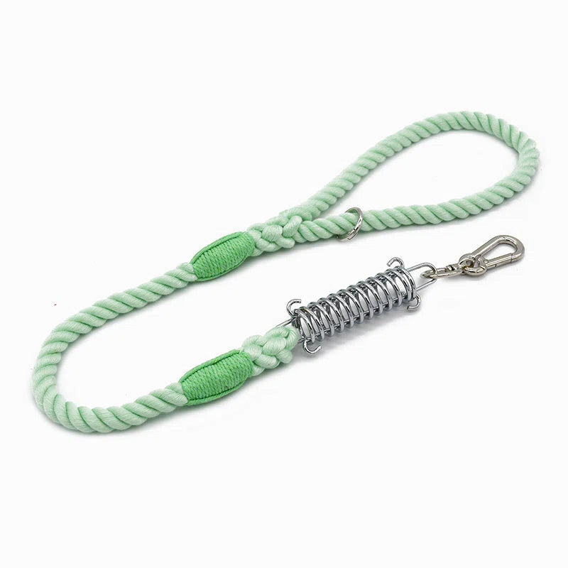 Shock Absorbing Dog Leash