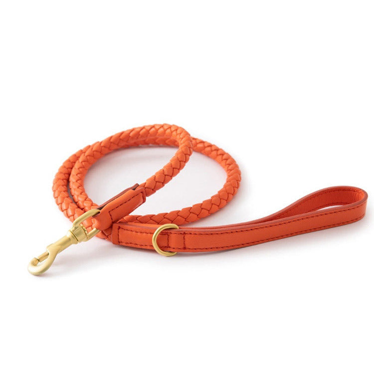 Woven Leather Dog Leash