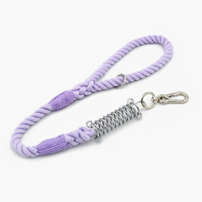 Shock Absorbing Dog Leash