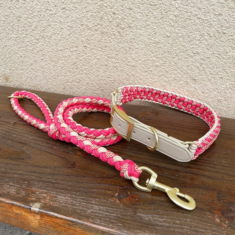 Dog Collar and Leash Set No Pull