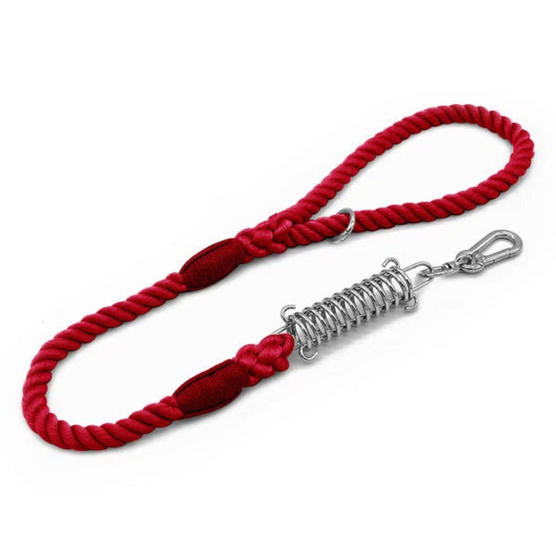 Shock Absorbing Dog Leash