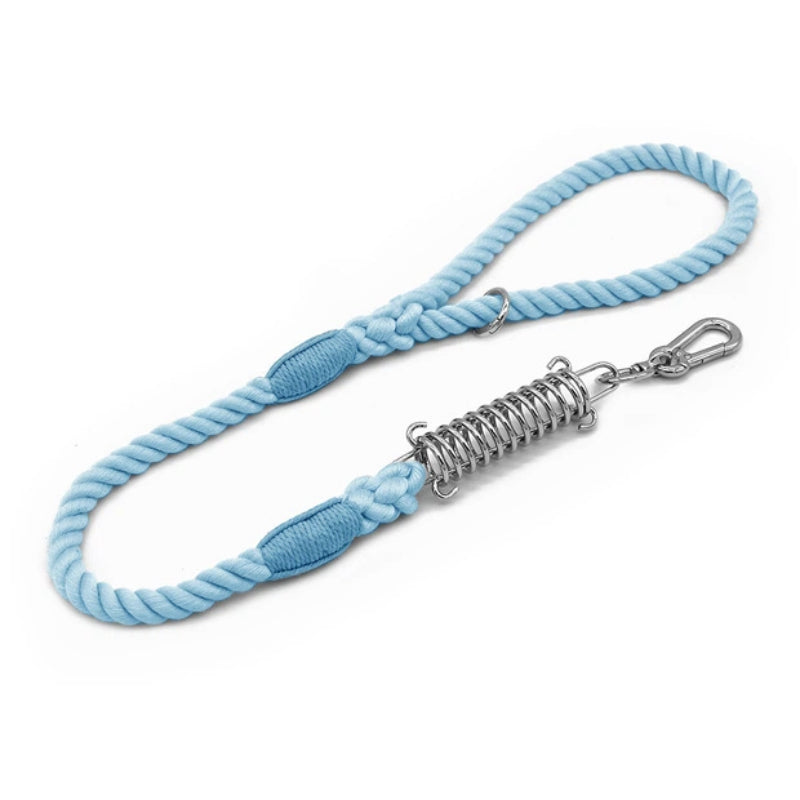 Shock Absorbing Dog Leash