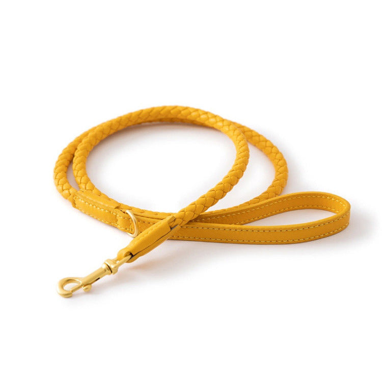 Woven Leather Dog Leash
