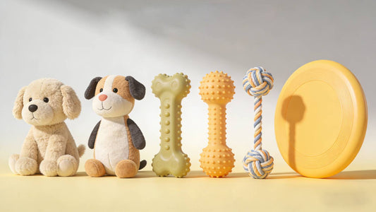 Different Types of Dog Toys (Chew, Interactive, Puzzle, Comfort) Explained