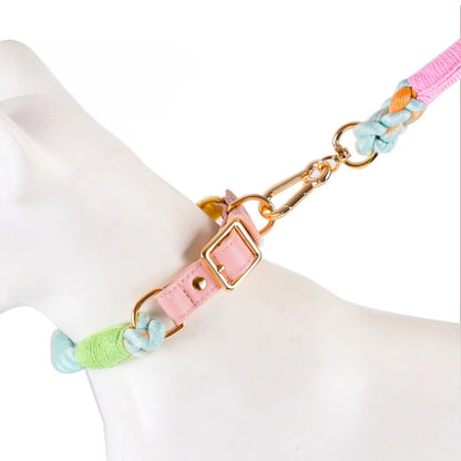 Braided PU & Cotton Dog Set