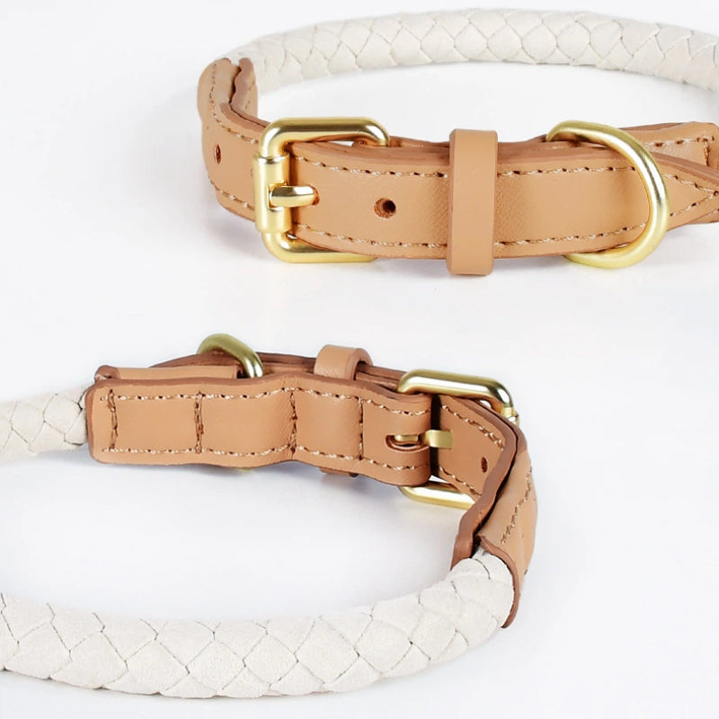 Handcrafted Leather Collar for Dogs