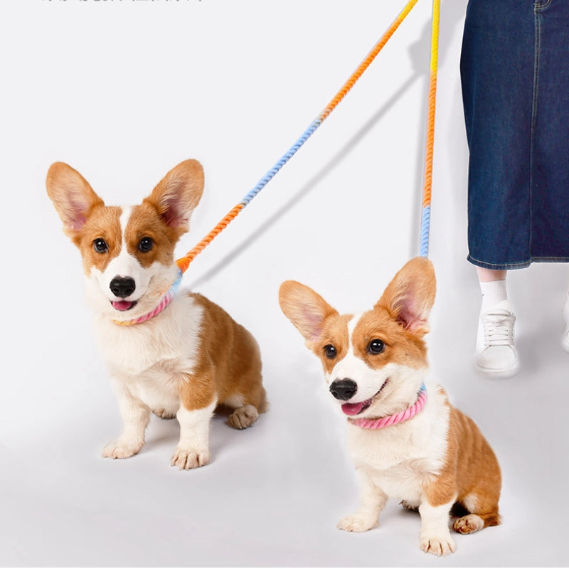 Convertible Hands Free Dog Leash