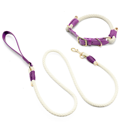 Waterproof Dog Collar and Leash Set