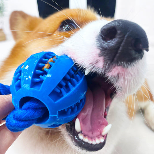 Chewable Rope Treat Cotton Ball Dog Toy