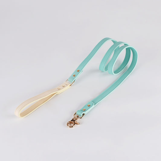 Leather Dog Leash Handmade