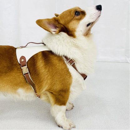 H-Back No Pull Dog Harness