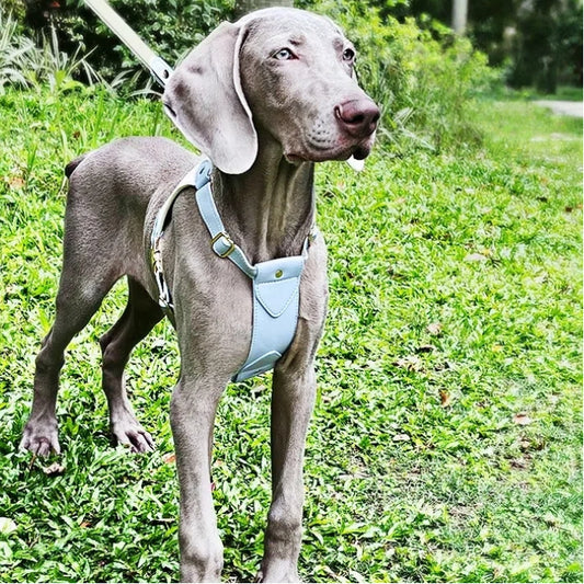 H-Back No Pull Dog set