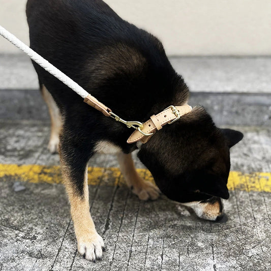 Braided Leather Dog Leash 1.2M