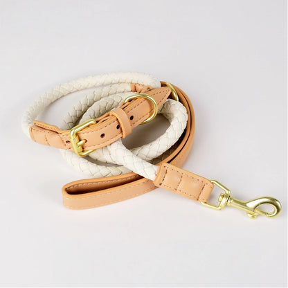 Braided Leather Dog Set
