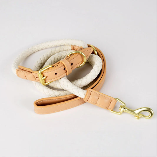 Braided Leather Dog Set