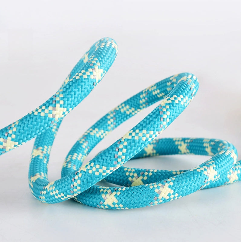 2-in-1 Reflective No Pull Slip Lead