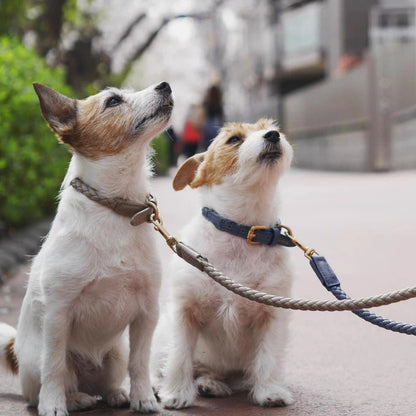 Woven leather dog collar leash set