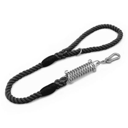 Shock Absorbing Dog Leash