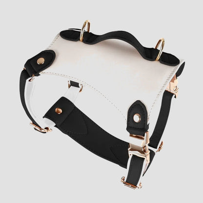 H-Back No Pull Dog Harness