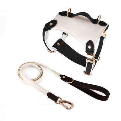 H-Back No Pull Dog set
