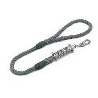 Shock Absorbing Dog Leash