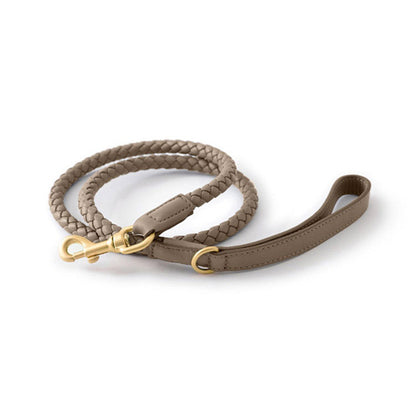 Woven Leather Dog Leash