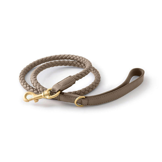 Woven Leather Dog Leash
