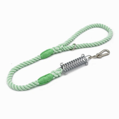 Shock Absorbing Dog Leash