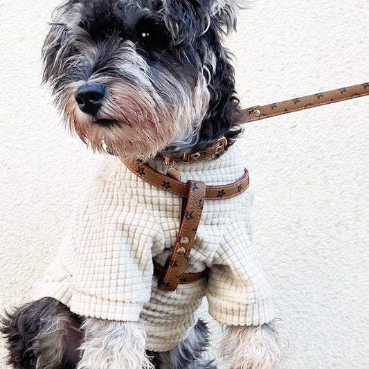 Vintage Dog Harness Anti Fur Set