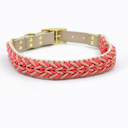 No Pull Nylon Dog Collar