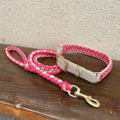 Dog Collar and Leash Set No Pull